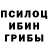 Галлюциногенные грибы прущие грибы Woldemar Smith